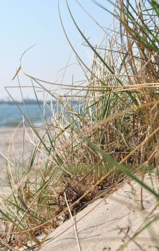 Strand Fehmarnsund